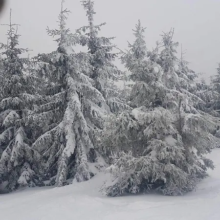 Nad Bystrzykiem - Appartamento *