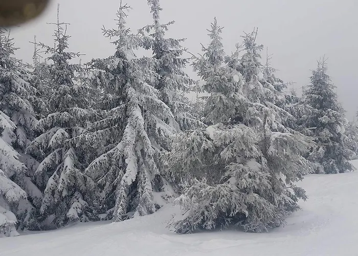 Nad Bystrzykiem - Apartment *